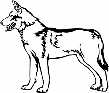 Aufkleber Saarloos Wolfhund