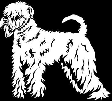 Autoaufkleber "Irish Soft-Coated Wheaten Terrier" Kontur