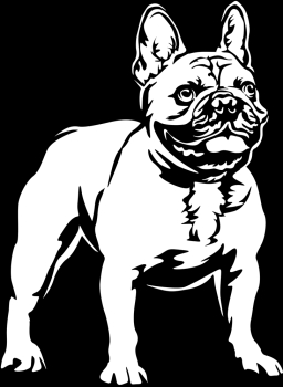 Autoaufkleber "Französische Bulldogge" Kontur