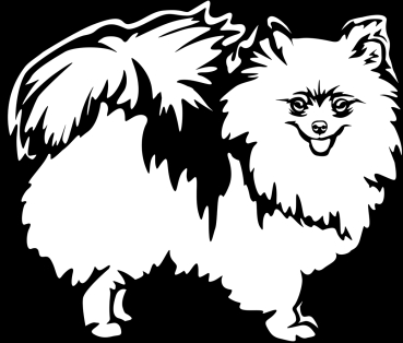 Autoaufkleber "Zwergspitz (Pomeranian)" Kontur