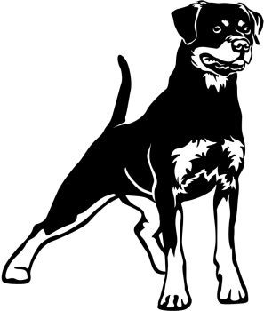 Aufkleber Rottweiler