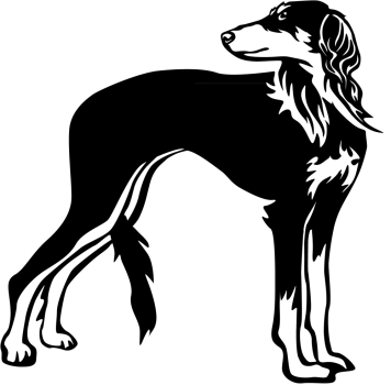 Autoaufkleber "Saluki" Kontur