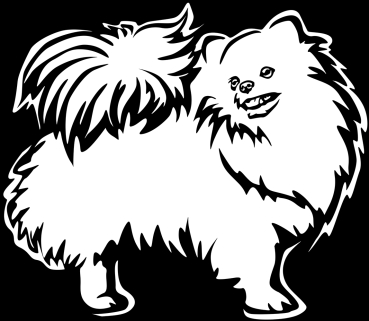 Autoaufkleber "Zwergspitz (Pomeranian)" Kontur