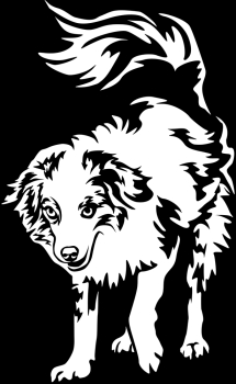 Aufkleber Australian Shepherd