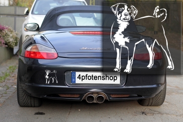 Autoaufkleber "Appenzeller Sennenhund" Kontur