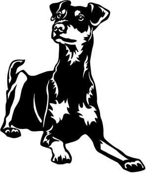 Autoaufkleber "Deutscher Pinscher" Kontur