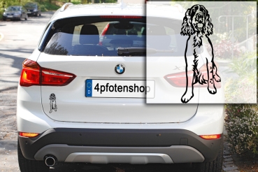 Autoaufkleber "Englischer Springer Spaniel" Kontur