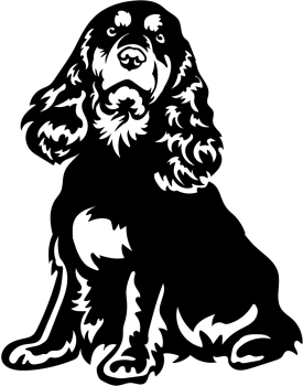 Autoaufkleber "Englischer Cocker Spaniel" Kontur