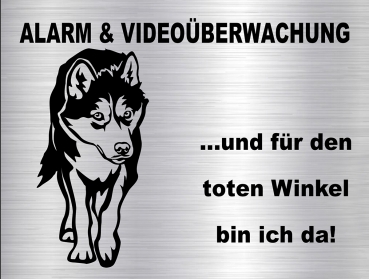 Hundewarnschild in edler, gebürsteter Edelstahloptik - Siberian Husky