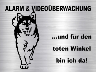 Hundewarnschild in edler, gebürsteter Edelstahloptik - Alaskan Malamute