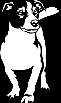 Autoaufkleber "Jack Russell Terrier" Kontur