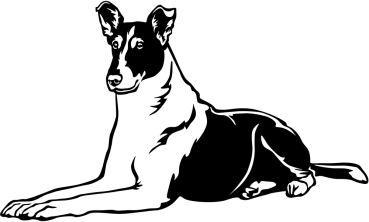 Aufkleber Collie