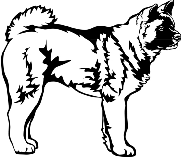 Autoaufkleber "American Akita" Kontur