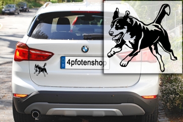 Autoaufkleber "Appenzeller Sennenhund" Kontur