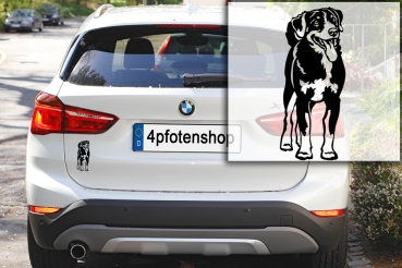 Autoaufkleber "Appenzeller Sennenhund" Kontur