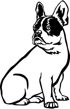 Autoaufkleber "Französische Bulldogge" Kontur