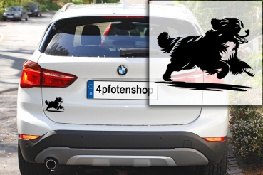 Autoaufkleber "Berner Sennenhund" Kontur