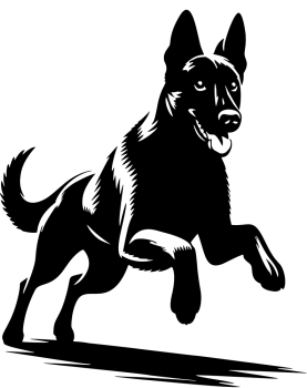 Autoaufkleber "Malinois" Kontur