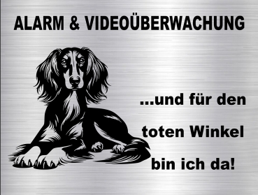 Hundewarnschild in edler, gebürsteter Edelstahloptik - Saluki