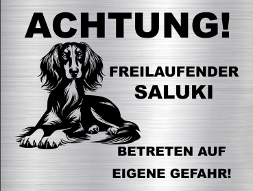 Hundeschild Saluki