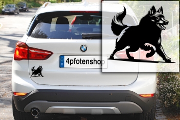 Autoaufkleber "Schipperke" Kontur