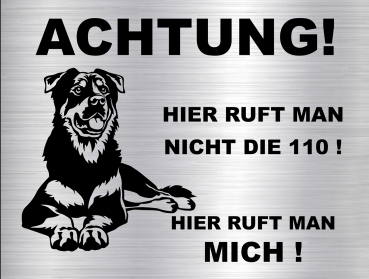 Preview: Hundeschild Border Collie