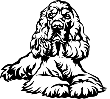 Autoaufkleber "Englischer Cocker Spaniel" Kontur