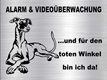 Hundewarnschild in edler, gebürsteter Edelstahloptik - Galgo