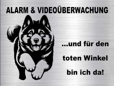 Hundewarnschild in edler, gebürsteter Edelstahloptik - American Akita