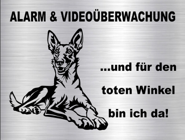 Hundewarnschild in edler, gebürsteter Edelstahloptik - Podenco