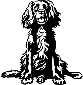 Autoaufkleber "Boykin Spaniel" Kontur