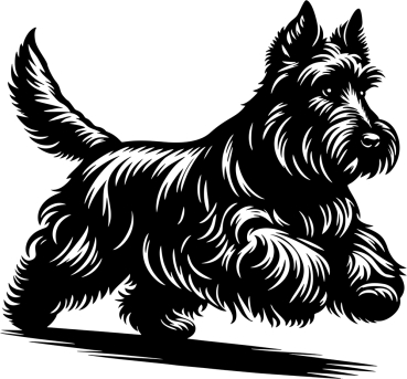 Autoaufkleber "Scottish Terrier" Kontur