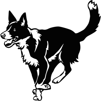 Autoaufkleber "Border Collie" (Kurzhaar) Kontur