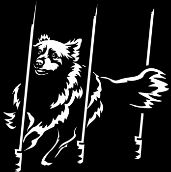 Agility Australian Shepherd Silhouette