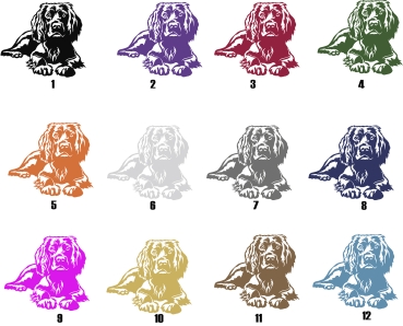 Autoaufkleber "Boykin Spaniel" Kontur
