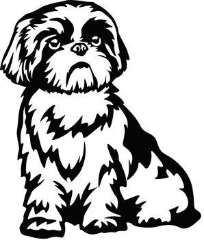 Autoaufkleber "Shih-Tzu" Kontur