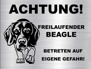 Hundeschild Beagle