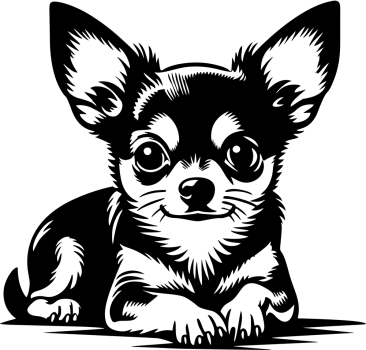 Aufkleber Chihuahua