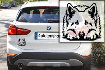 Autoaufkleber "Schweizer Schäferhund" Kontur