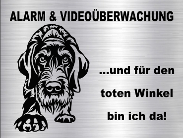 Hundewarnschild in edler, gebürsteter Edelstahloptik - Deutsch Drahthaar