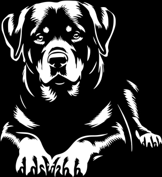 Aufkleber Rottweiler