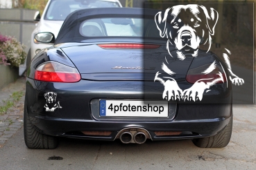 Autoaufkleber "Rottweiler" Kontur