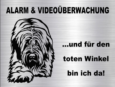 Hundewarnschild in edler, gebürsteter Edelstahloptik - Briard