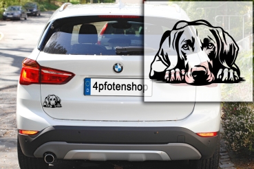 Autoaufkleber "Weimaraner" Kontur