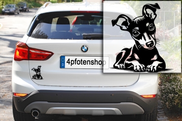 Autoaufkleber "Zwergpinscher" Kontur