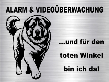 Hundewarnschild in edler, gebürsteter Edelstahloptik - Kangal