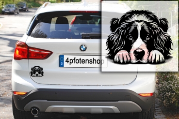 Autoaufkleber "Münsterländer" Kontur