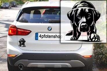 Autoaufkleber "Labrador" Kontur