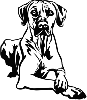 Aufkleber Rhodesian Ridgeback