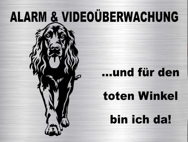 Hundeschild Irish Setter